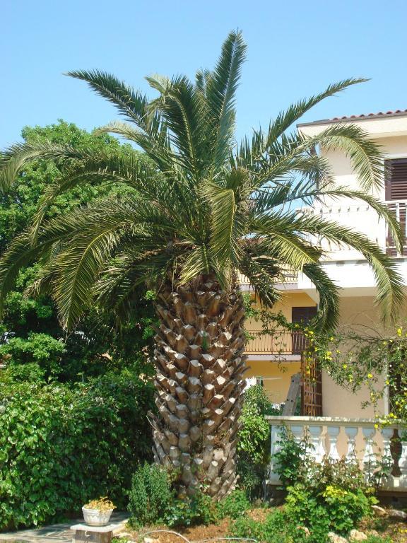 Apartments Labor Βόντιτσε Δωμάτιο φωτογραφία